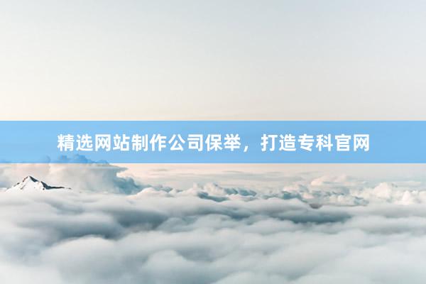 精选网站制作公司保举，打造专科官网