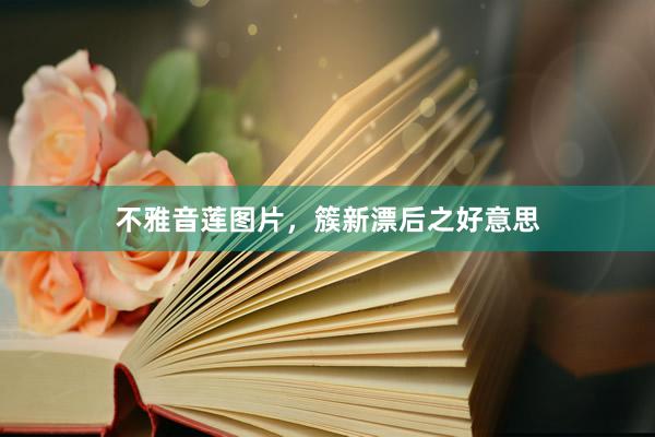 不雅音莲图片，簇新漂后之好意思