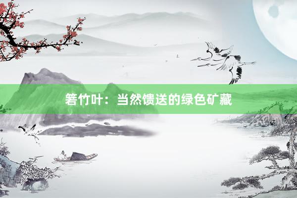 箬竹叶：当然馈送的绿色矿藏