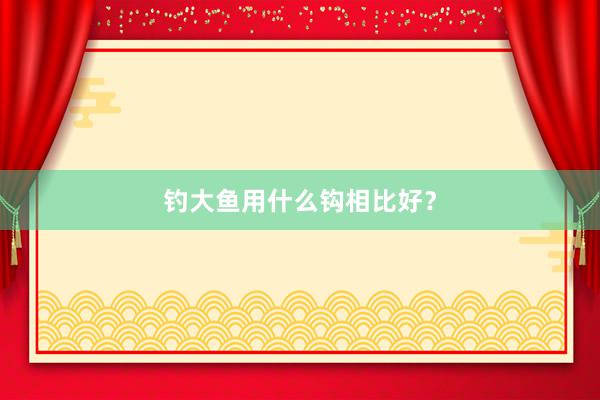钓大鱼用什么钩相比好？